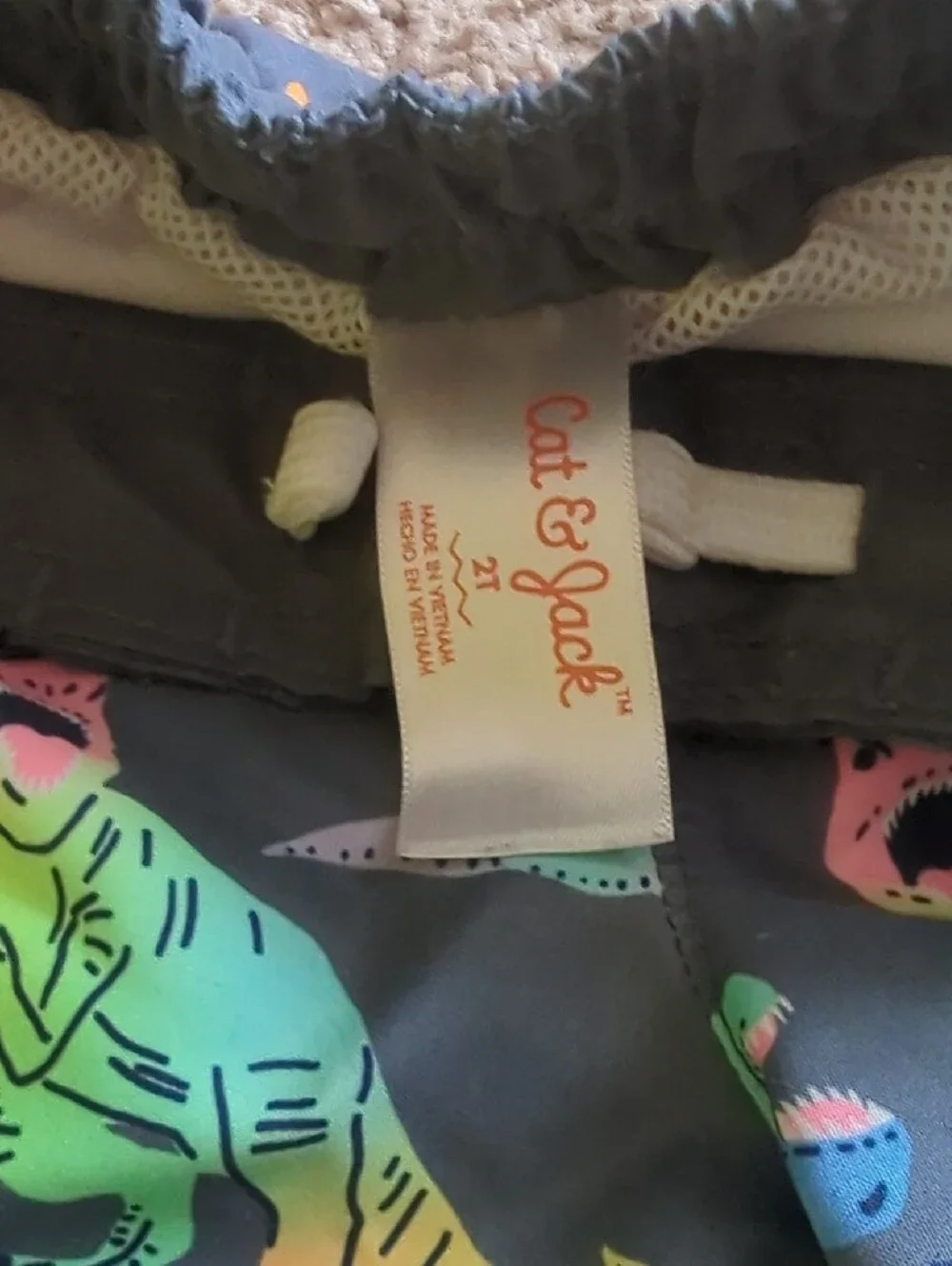 Boys Neon Cat & Jack Dino Gator Pizza Swim Trunk Set - Multicolor Size 2T